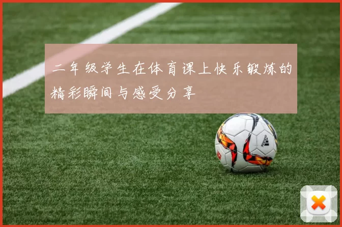 二年级学生在体育课上快乐锻炼的精彩瞬间与感受分享