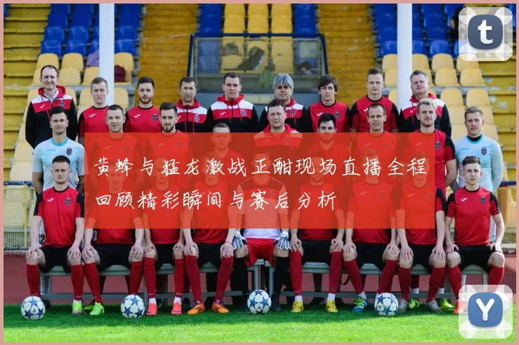 黄蜂与猛龙激战正酣现场直播全程回顾精彩瞬间与赛后分析