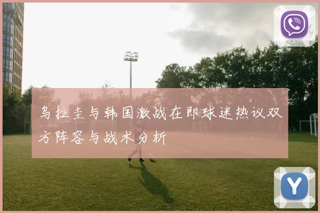 乌拉圭与韩国激战在即球迷热议双方阵容与战术分析