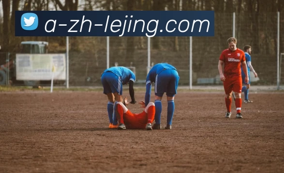 乐竞体育平台生态图